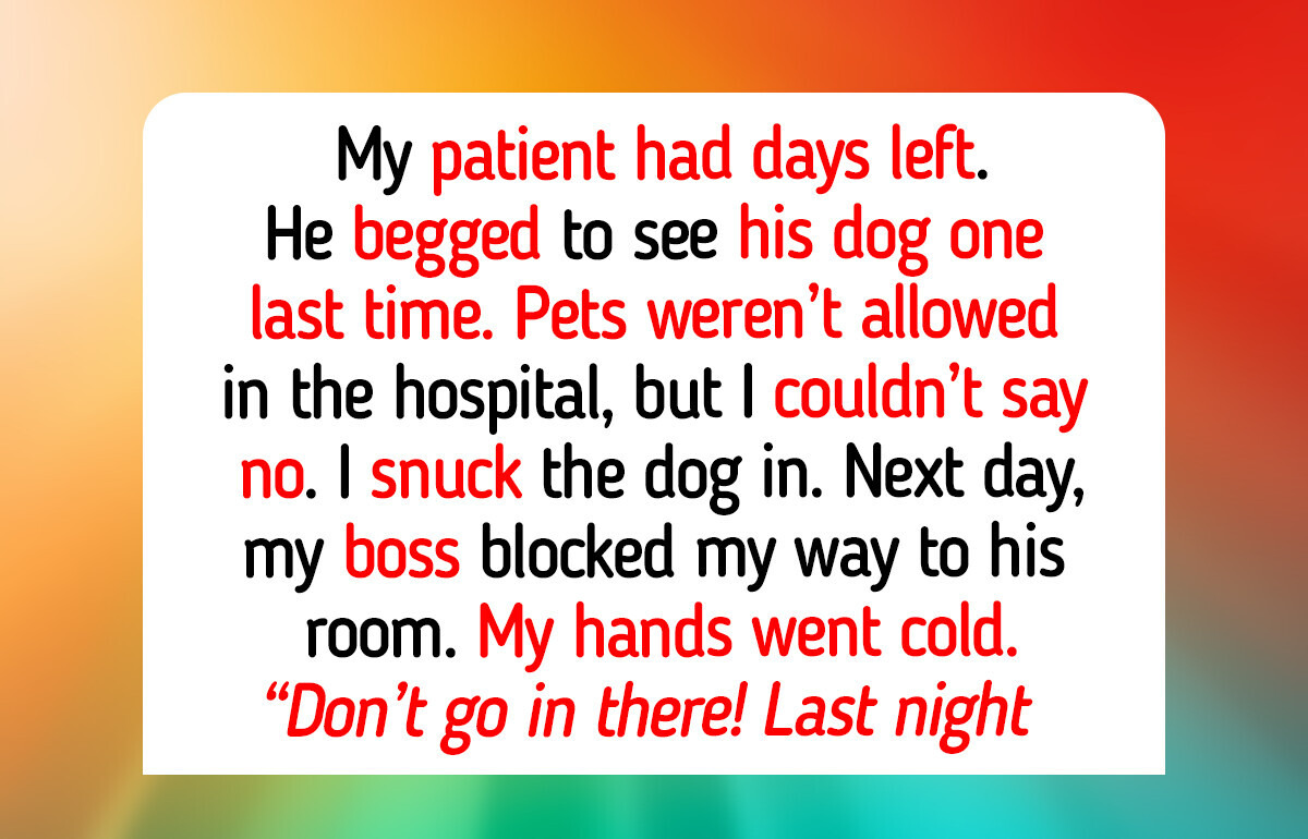 10 Moments of Compassion That Remind Us Pets Keep Bringing Out the Best in Humanity