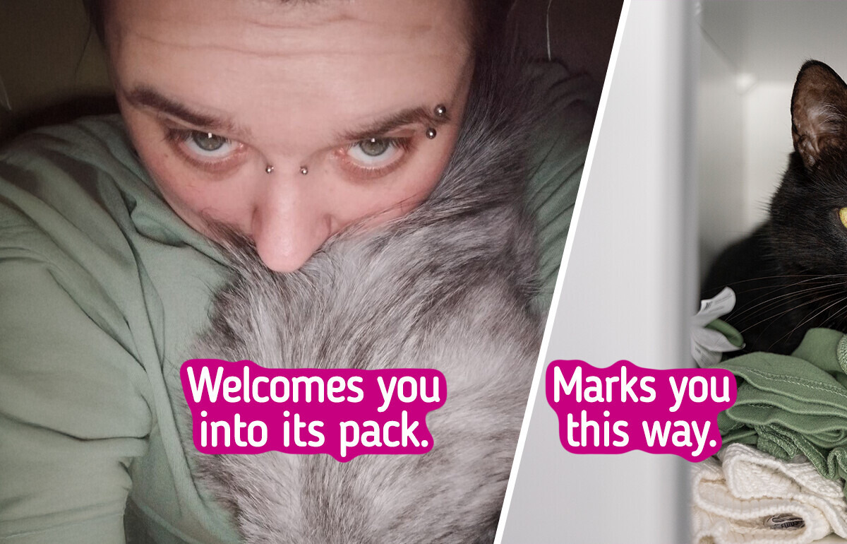 11 Signs That Prove Your Pet Is Head Over Heels in Love With You