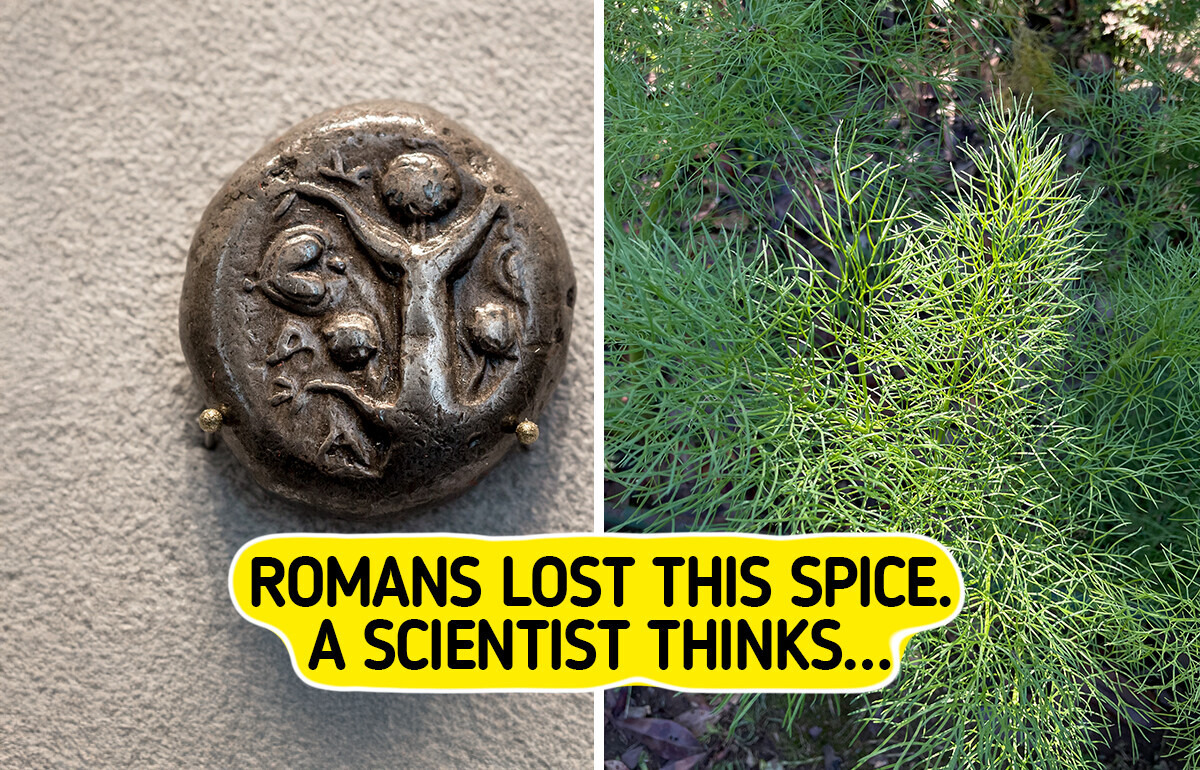 12 Lost Foods People Found Again, Like a Peanut That Survived as 40 Seeds in a Seed Vault 12 Lost Foods People Found Again, Like a Peanut That Survived as 40 Seeds in a Seed Vault