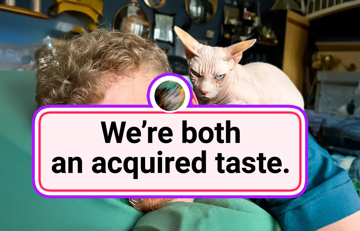 20+ Photos That Prove Owners and Their Pets Are Hilariously Alike