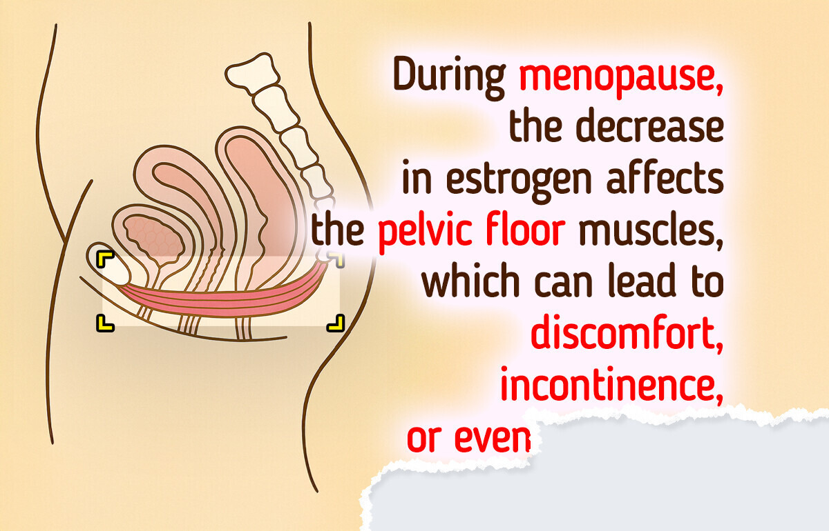 7 Essential Things About Pelvic Floor Women Could Benefit From 7 Essential Things About Pelvic Floor Women Could Benefit From