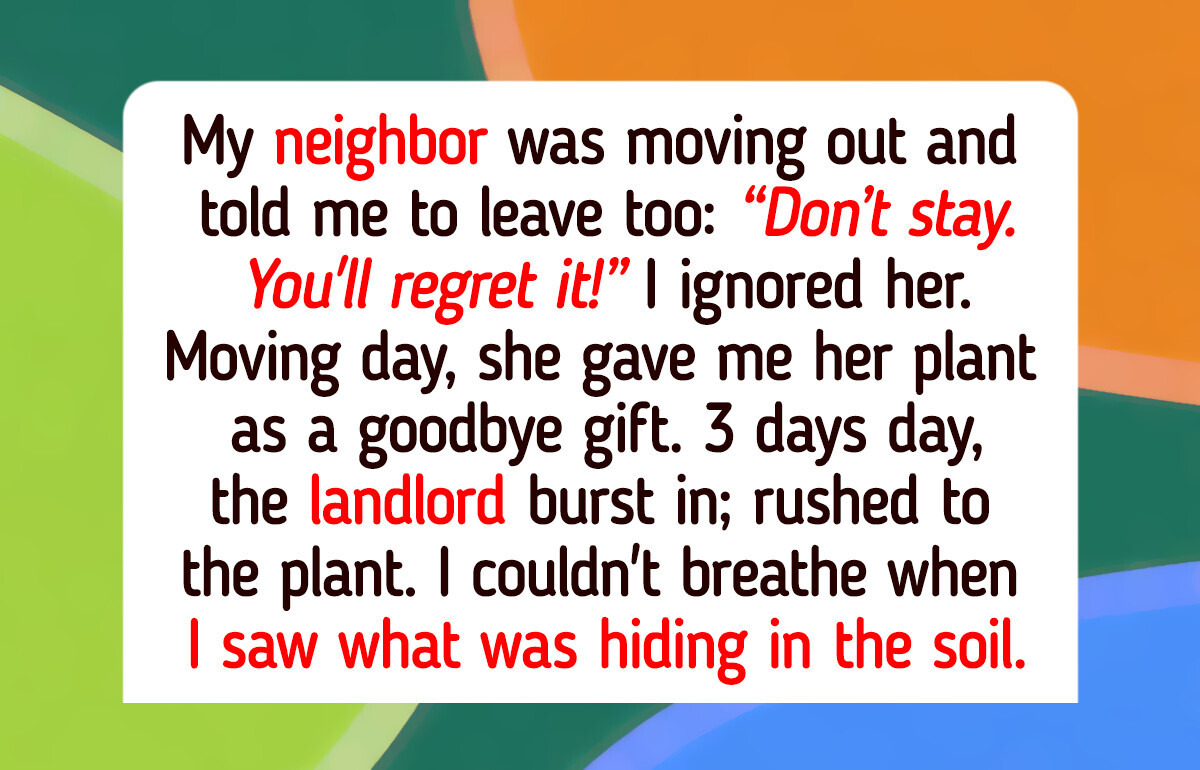 12 Moments That Prove There Is Still Compassion Left in Humans Even When the Heart Hurts