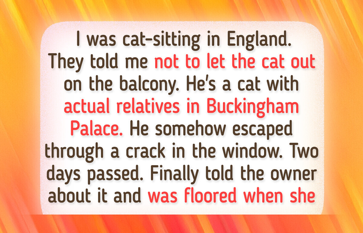 17 Stories That Prove Life With Pets Is Never Ever Boring 17 Stories That Prove Life With Pets Is Never Ever Boring