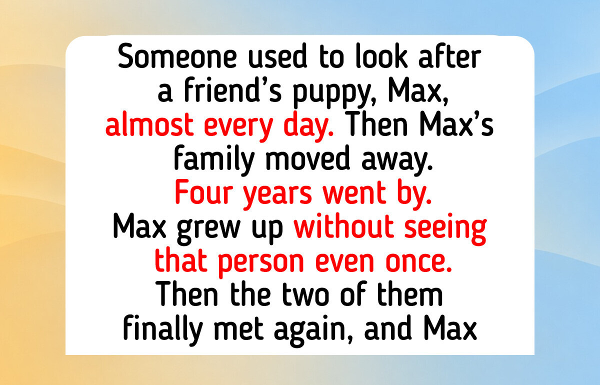 9 Dog Reunions After Years Apart, Including Why Dogs Remember the Scent of Their People