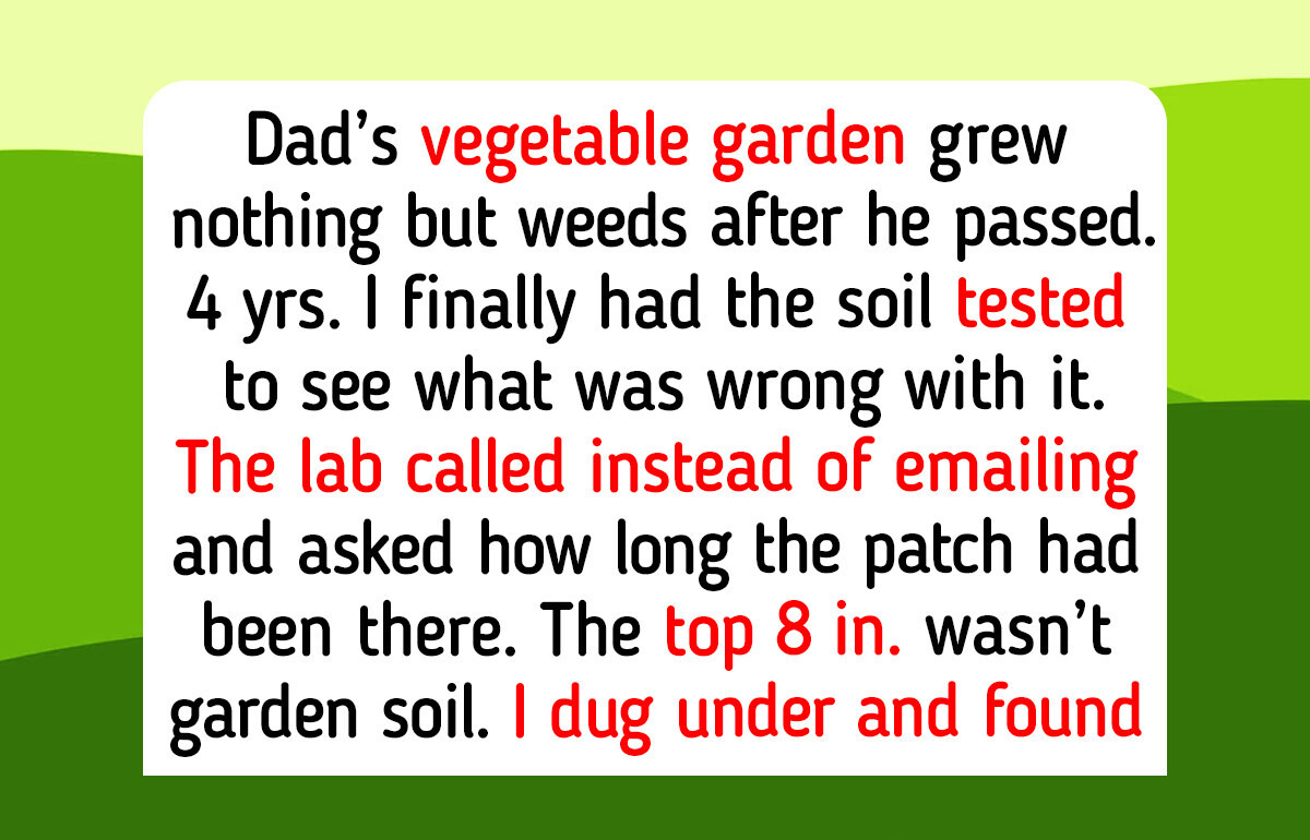 13 Garden Hobbies That Teach Us Every Home Still Needs Flowers and Vegetables to Feel Compassion and Happiness