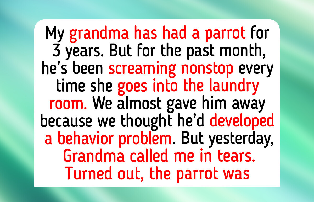 11 Heartbreaking Moments Where Pets Became Their Humans’ Unexpected Heroes 11 Heartbreaking Moments Where Pets Became Their Humans’ Unexpected Heroes
