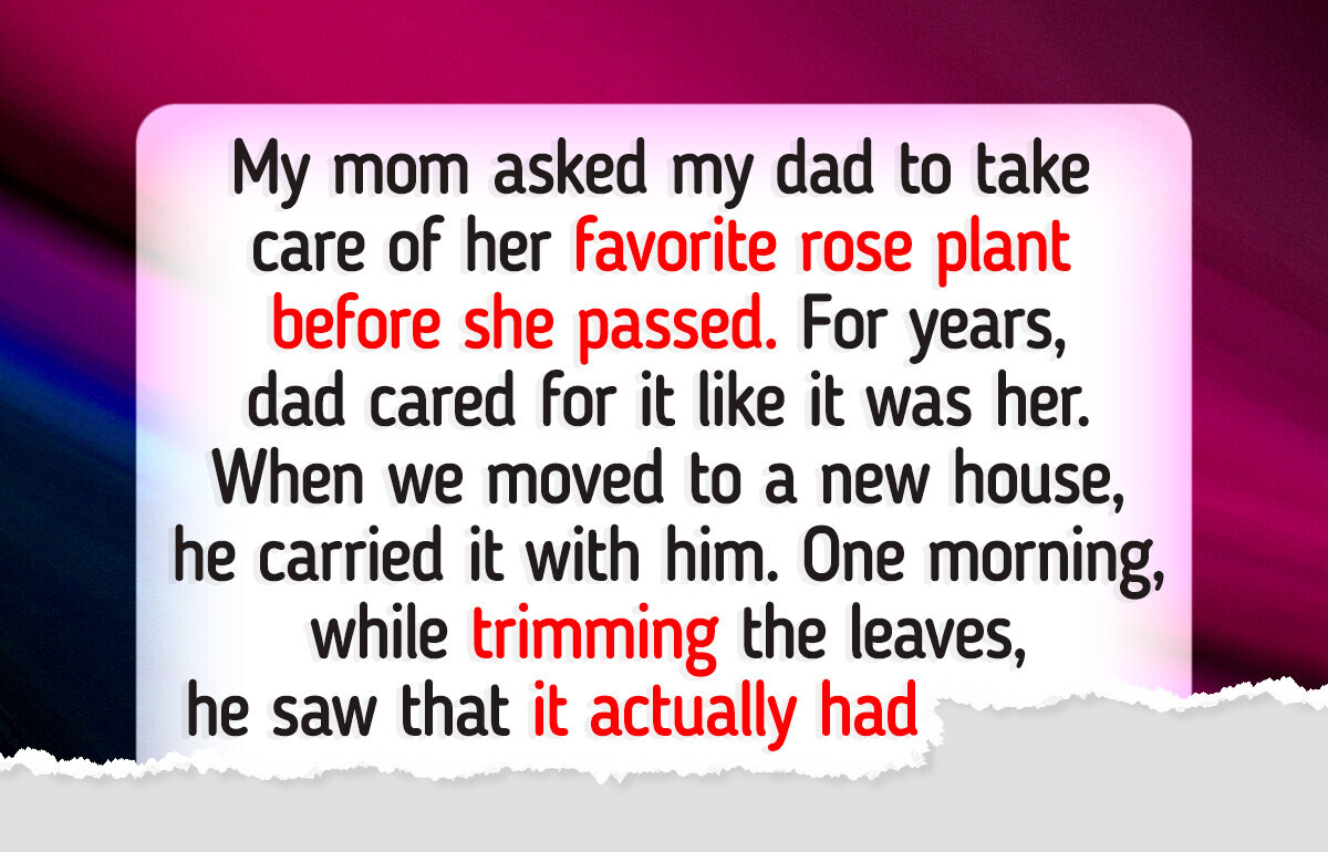My Dad Kept My Mom’s Last Wish—But It Took an Unexpected Turn