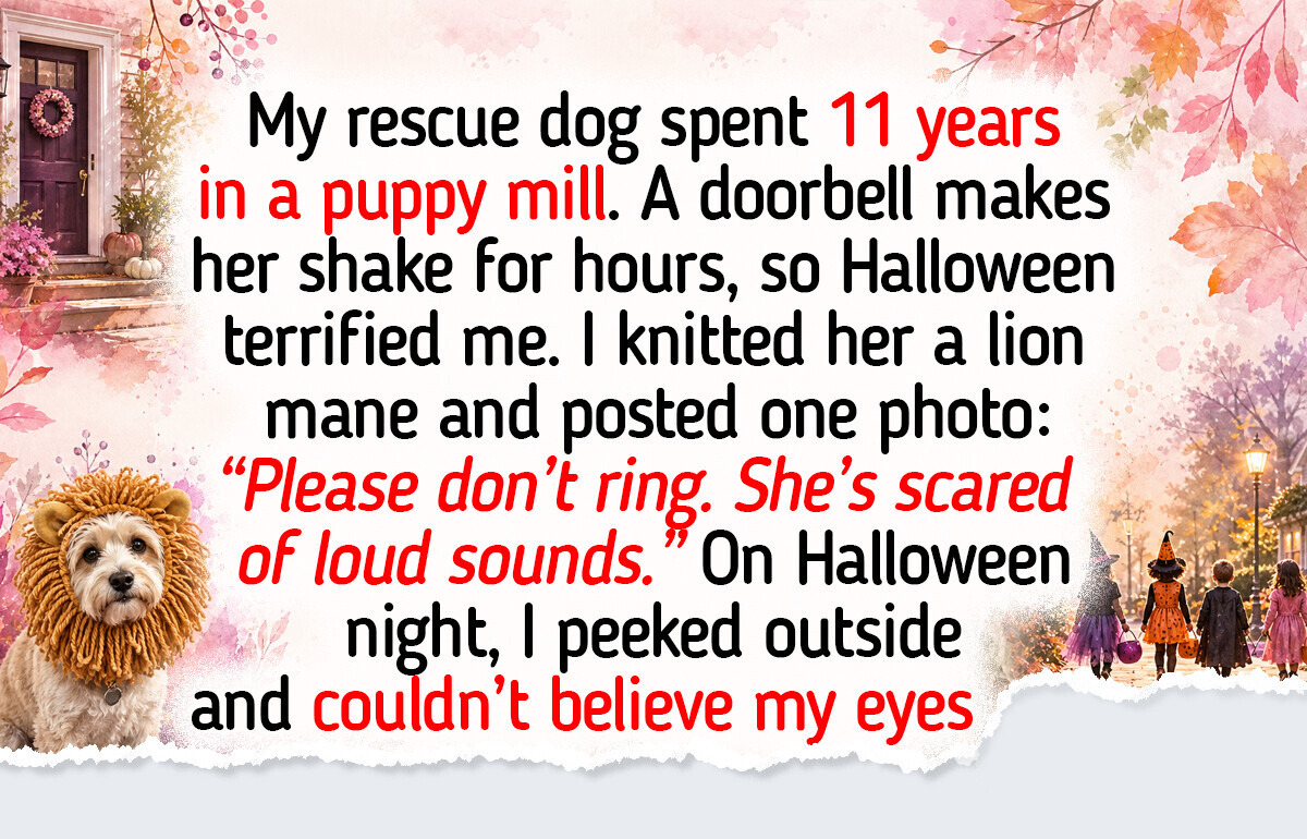 14 Halloween Stories Where Happiness Shows Up in a Knitted Lion Mane, a Hot Dog Cart, and Other Handmade Costumes for Pets