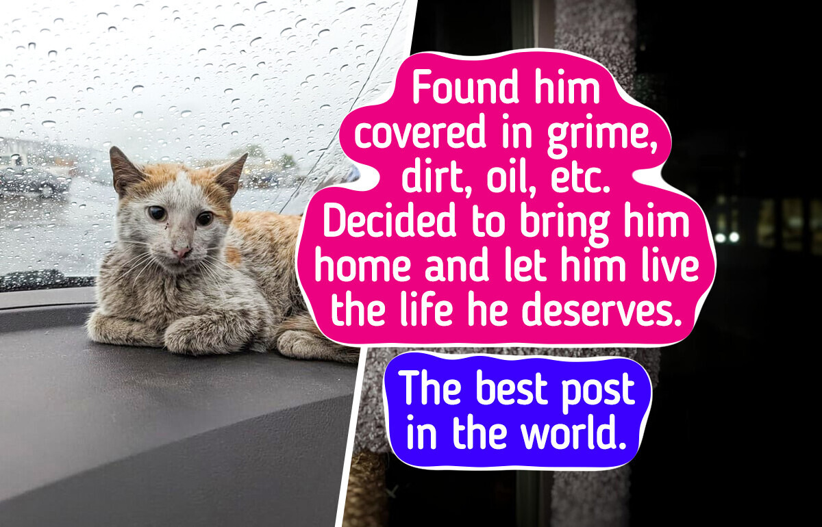 16 Photos That Prove a Loving Family Is the Best Gift a Pet Can Get