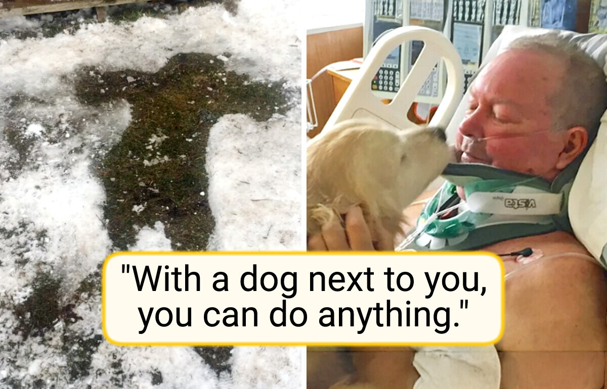 A Man Broke His Neck Falling on Ice—His Dog Proved Compassion Knows No Species