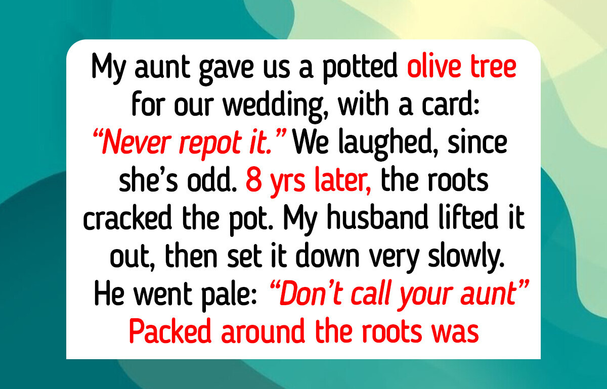 10 Real Garden Hobby Stories Where Happiness Grew From a Sealed Metal Box and an Olive Tree That Hid Money for Years