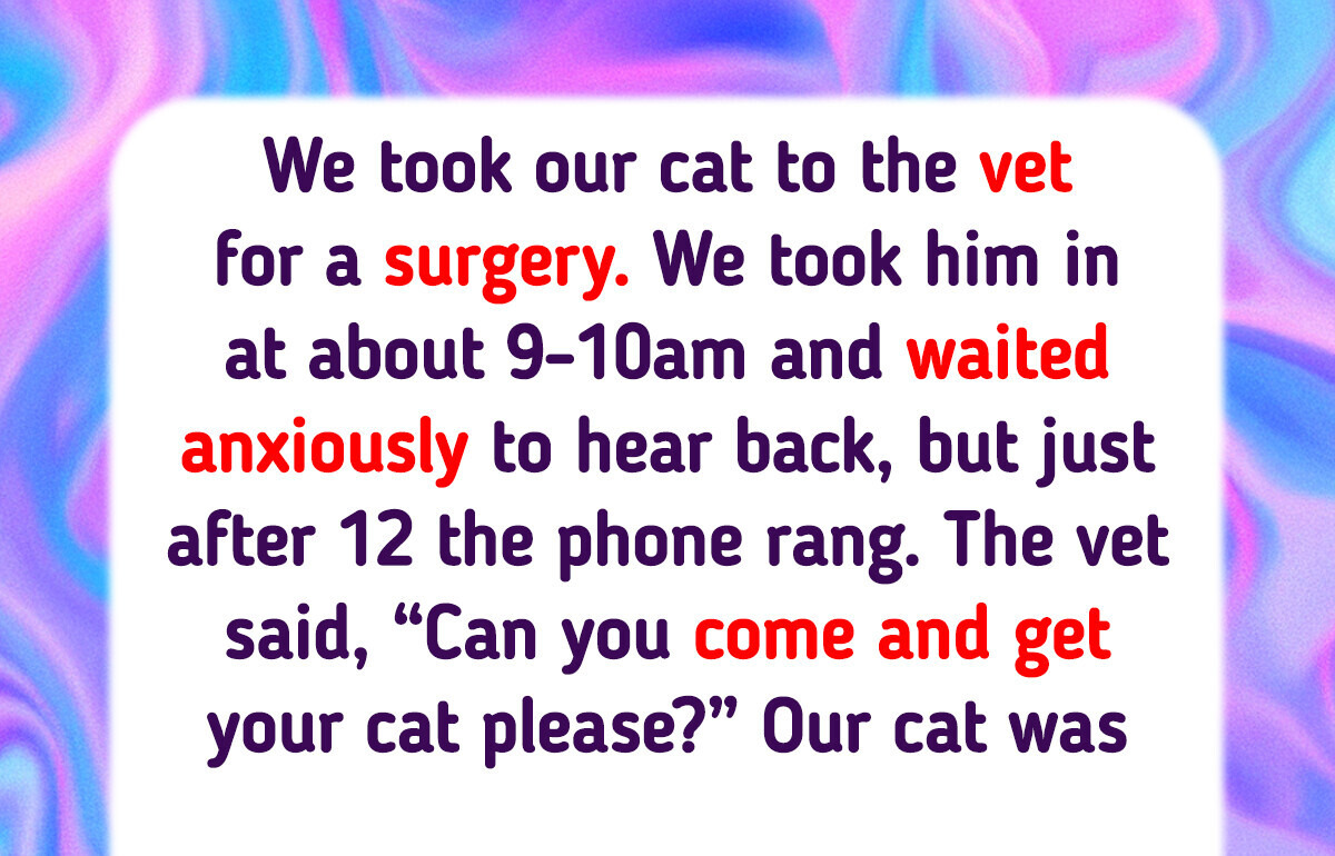 13 Dramatic Pets Whose Vet Visits Could Be Turned Into a Movie 13 Dramatic Pets Whose Vet Visits Could Be Turned Into a Movie
