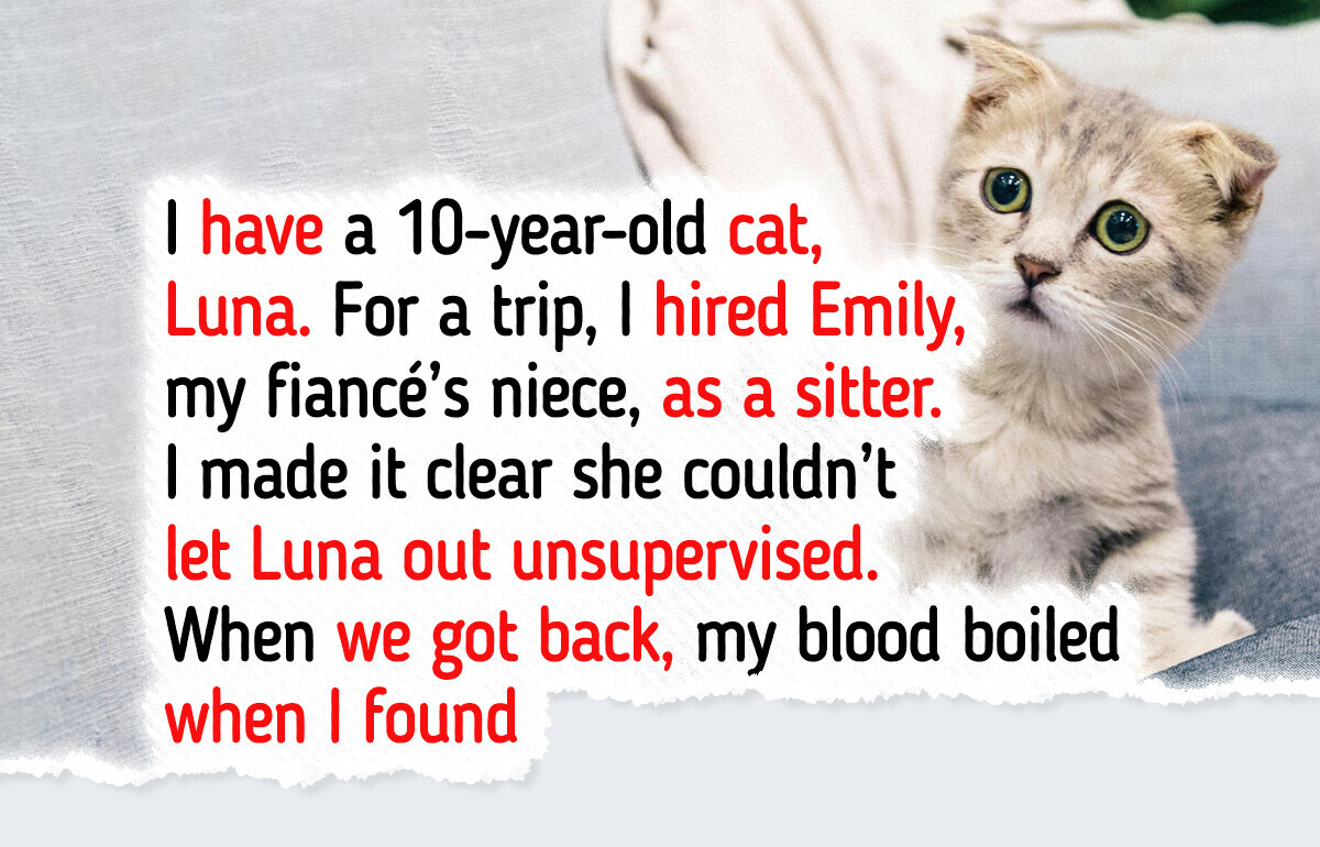 My Cat’s Sitter Was Irresponsible, So I Refused to Pay—My Family Disagrees My Cat’s Sitter Was Irresponsible, So I Refused to Pay—My Family Disagrees