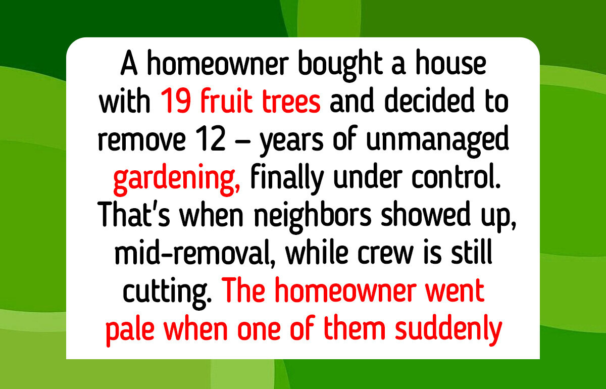 Who Actually Owns the Fruit Hanging Over Your Fence: Homeowner Cut Down 12 Fruit Trees and Neighbors Objected