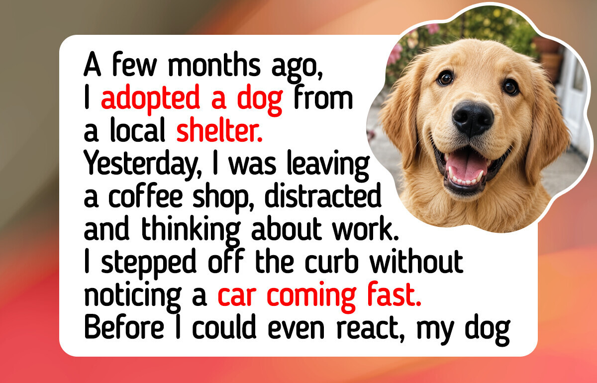 The Dog I Adopted From a Local Shelter Ended Up Saving My Life