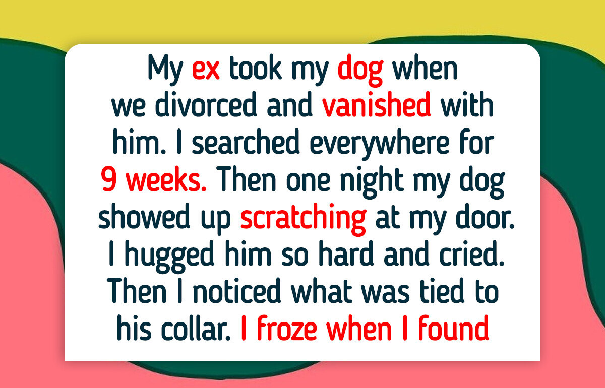 12 Acts of Kindness That Prove Rescue Dogs Know Exactly Who Needs Them Most 12 Acts of Kindness That Prove Rescue Dogs Know Exactly Who Needs Them Most