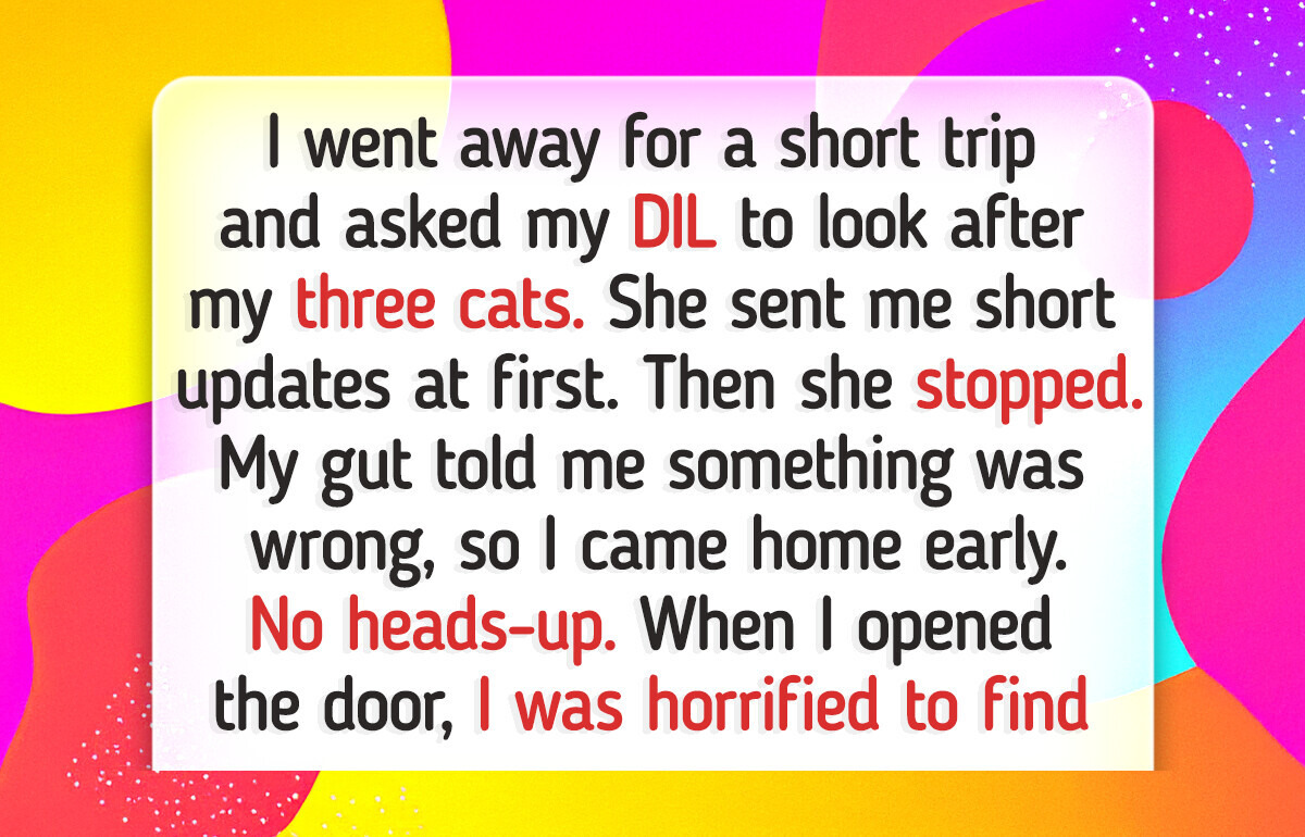 I Trusted My DIL to Watch My Cats for a Week—And I Came Home to a Heartbreak I Trusted My DIL to Watch My Cats for a Week—And I Came Home to a Heartbreak