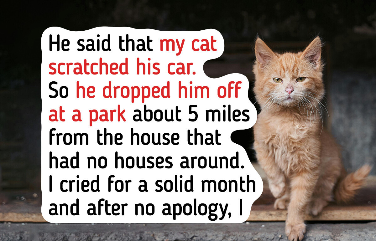 My Cat Scratched My Fiancé’s Car, After Seeing How He Reacted I Had to Do Something My Cat Scratched My Fiancé’s Car, After Seeing How He Reacted I Had to Do Something