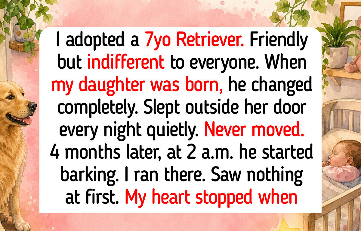 9 Golden Retriever Rescue Moments That Show Dogs Never Give Up on Finding Their Forever Home