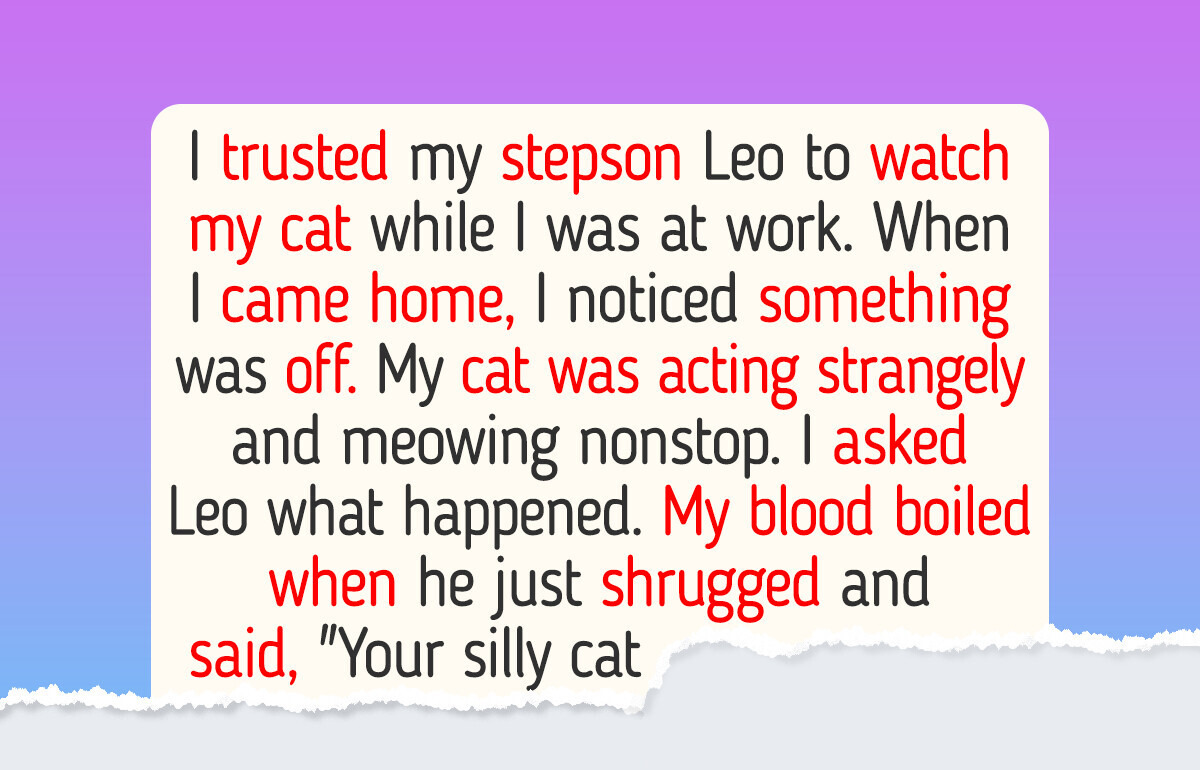 I Trusted My Stepson to Watch My Cat, and What Happened Still Makes My Blood Boil I Trusted My Stepson to Watch My Cat, and What Happened Still Makes My Blood Boil