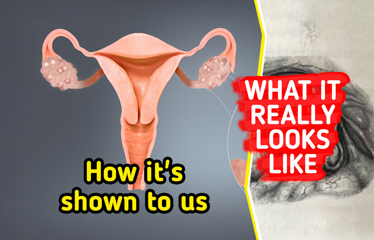 10 Crazy Facts About Human Body Not Many People Might Know About