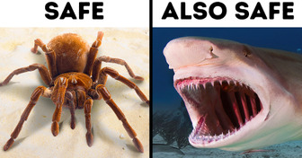 14 Scary But Not Dangerous Animals