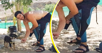 30 Everyday Photos That Are Funnier Than They Should Be