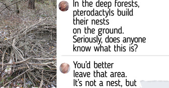 13 Forest Finds Including a Cherokee Legend, a Fairy Door, and One Thing Everyone Agreed Was a Pterodactyl