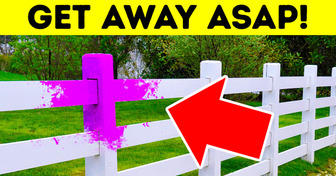If You See Purple Fence Posts, Get Away