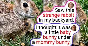 15 People Who Revealed Rare Finds That Went Viral Overnight