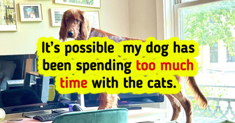 15 Pets That Look Like a Comedy and a Disaster All in One