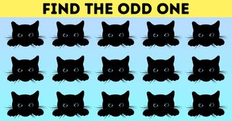 Test: Find the Odd One Out in Less Than 10 Minutes