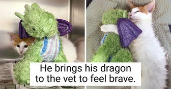 20+ Pets Who Are Crazy About Their Toy Friends