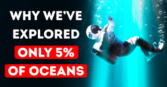 We Don’t Know What’s Hiding in 95% of the Ocean