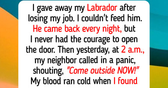 11 Real Rescue Dog Moments Where Animals Teach Us Why Kindness Always Leads to Personal Growth