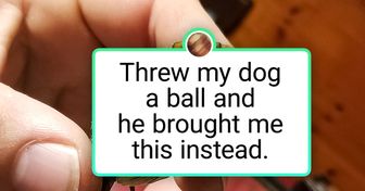 19 Generous Pets Whose Life Motto Is “Humans Go First”