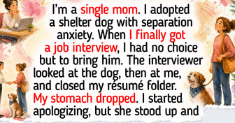 16 Pets Who Ride Along Everywhere, Including a Beagle at a Job Interview, a Cat at the Bank, and a Dachshund at the Hospital