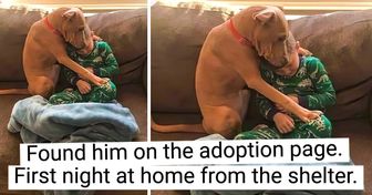 20 Pet Parents and Their “Children” Who Adore Each Other Beyond Belief