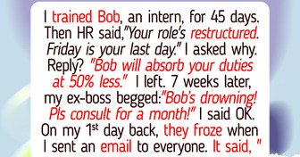 I Was Fired After Training My Replacement, Now My Boss Is Begging Me to Come Back