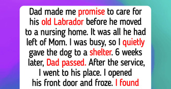 12 Animal Shelter Moments That Teach Us Kindness Still Brings Happiness to Heavy Hearts