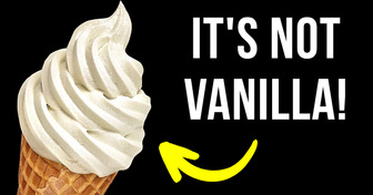 Think Twice Before Grabbing Vanilla Ice Cream, Here’s Why
