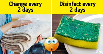 20 Objects That We Should Clean Way More Often Than We Actually Do