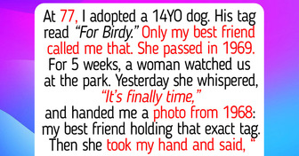 At 77, I Adopted a Senior Dog to Ease My Retirement Loneliness — Then a Stranger’s Kindness Led Me to My Best Friend From 1969