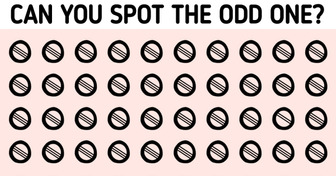 14 Pictures That Will Challenge You to Find the Odd One Out