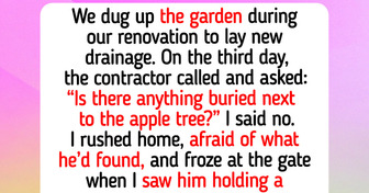 11 Renovation Stories That Prove Real Life Writes Better Scripts Than Hollywood