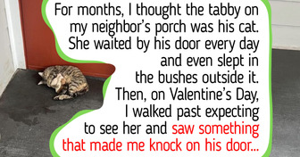 12 Stray Cats and Dogs Who Chose Their Family, Like a Mama Cat on the Porch and a Dog Behind the Garage