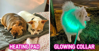 12 Smart Inventions for Pets That’ll Make You the Coolest Paw Parent