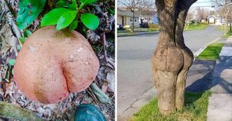 13 Times Mother Nature Needed Censoring for Letting Our Imagination Run Wild