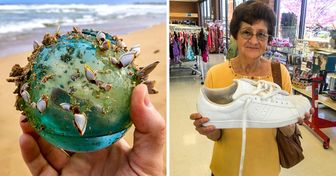 15 Bizarre Discoveries That Can Baffle Even Scientists