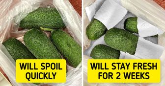 14 Unusual But Effective Methods to Store Your Foods That Really Work